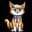 Trump Cat