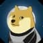 DOGE-1