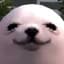Eggdog