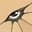 EYE Am Watching You