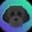 Myro