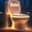 Toilet Dust