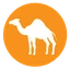 Arabic