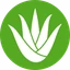 Aloe Token