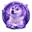 Aoge | Anon Doge