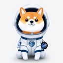 ASTEROID (asteroid.fit)