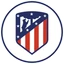 Atletico Madrid Fan Token