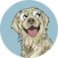 Barking