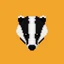 Badger Sett Badger