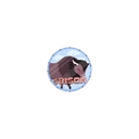 BISON