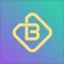 Bizchain Token
