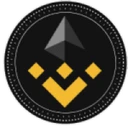 Binance Multi-Chain Capital