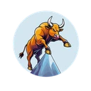 BullRun Meme