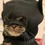 batcat