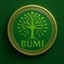 BUMI