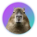 Capybara