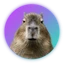 Capybara