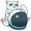 Cat Token
