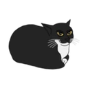 Maxwell the spinning cat