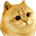 Catge Coin