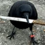 crow with knife