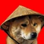 Chinese Doge Wow