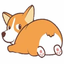 Corgidoge