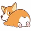 Corgidoge
