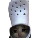 Croc CAT