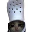 Croc CAT
