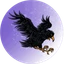 Crow