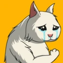Crying Cat