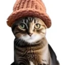 CATWIFHAT