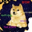 doge in a memes world