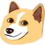 DOGE CLONE