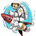 Doge-1 Mission to the moon