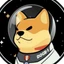 Satellite Doge-1 Mission