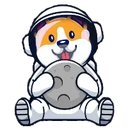 MOON DOGE