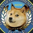 Department of Gov Efficiency