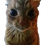 Gakster