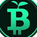Green Bitcoin