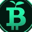 Green Bitcoin