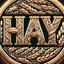HayCoin