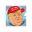 TRUMP IP