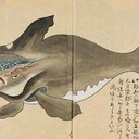 The Japanese Whale