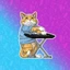 Keyboard Cat