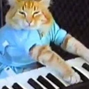 Keyboard Cat (Base)