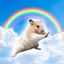 Kung Fu Hamster
