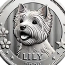 Lily's Coin
