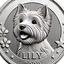 Lily's Coin
